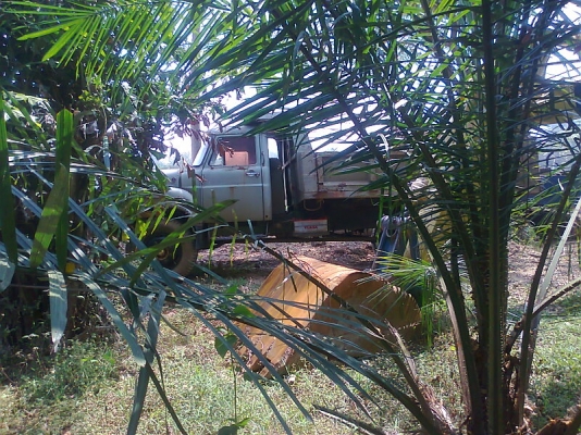 ขายด่วน..รถหกล้อดั้ม ISUZU 145 แรงม้า เครื่องดี คัสซีสวย มีแอร์ มีทะเบียนครบ.