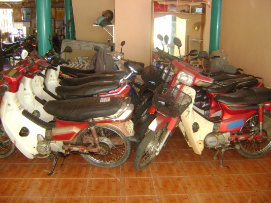 ขายดรีมคุรุ 10000 ขายดรีมคุรุ 10000