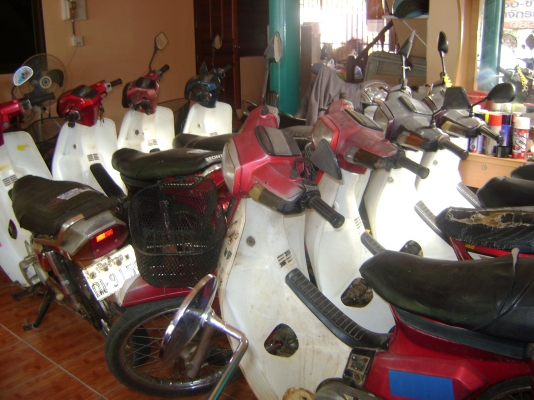 ขายดรีมคุรุ 10000 ขายดรีมคุรุ 10000