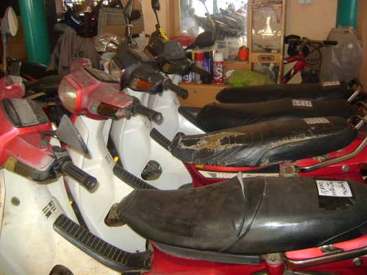 ขายดรีมคุรุ 10000 ขายดรีมคุรุ 10000