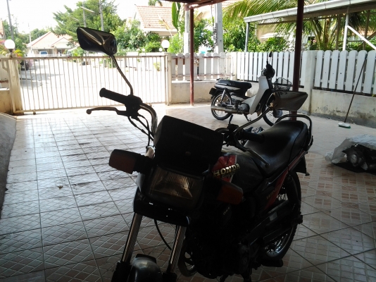 honda wing 125 ทะเบียน ภาษีเต็ม พร้อมโอน honda wing 125 ทะเบียน ภาษีเต็ม พร้อมโอน