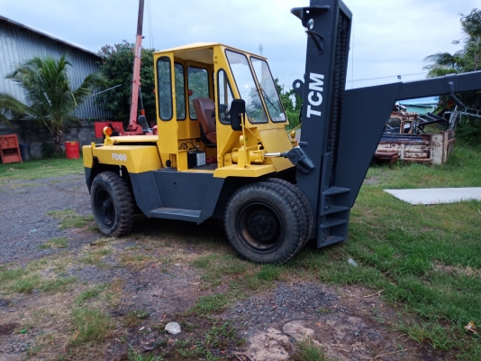 โฟคลิฟต TCM