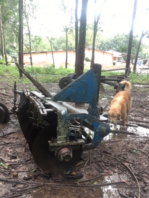 ขายผาน7 ขายผาน7