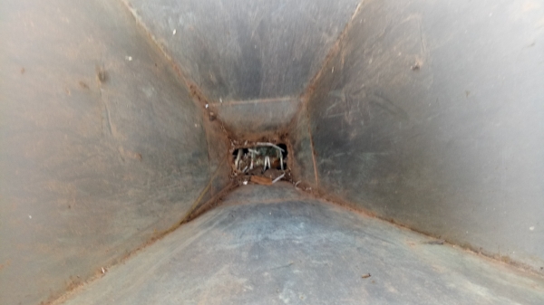 ขายฟอร์ด 6610 สองเพลา T6 พร้อมดันหน้า หางไถ เครื่องปลูกอ้อย เล่มทะเบียน