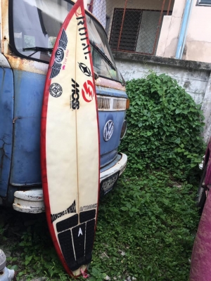 ขายกระดานโต้คลื่น Moss Custom Surfbords