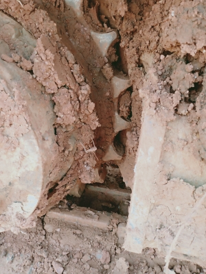 ขาย CAT 320 D2 6พันกว่า ชม. ขาย CAT 320 D2 6พันกว่า ชม.