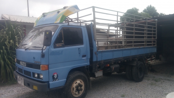 6ล้อ ยาว4.30ม. ISUZU NPR 115แรง F หน้า Fหลัง ปี36 6ล้อ ยาว4.30ม. ISUZU NPR 115แรง F หน้า Fหลัง ปี36