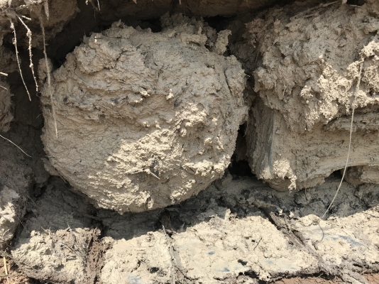 Cat320D เครื่องดี ปั้มแรง ช่วงล่างเต็ม เล่มทะเบียนพร้อมโอน