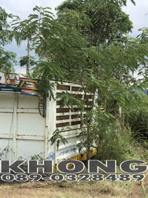 ขายด่วน กระบะดั้มเกษตร กระบอก12ตัน ยาว6เมตร เดิมใส่ 10ล้อ Mitsuหลง พื้นตงสวย เพียง 110000 บาท ขายด่วน กระบะดั้มเกษตร กระบอก12ตัน ยาว6เมตร เดิมใส่ 10ล้อ Mitsuหลง พื้นตงสวย เพียง 110000 บาท