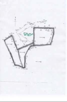 ขายเกาะ เนื้อที่ 140 ไร่ เอกสารโฉนด ราคา 700 ล้าน