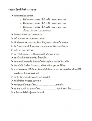 ขายเกาะ เนื้อที่ 140 ไร่ เอกสารโฉนด ราคา 700 ล้าน