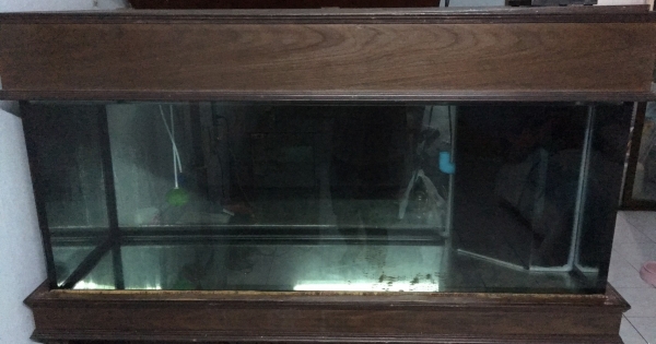 ขายตู้ไม้สักตู้กระจกปลา48x20x20นิ้วลดเหลือ15,000 มารับเองขายถูก