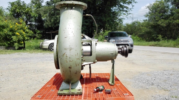 หัวปั้มน้ำหอยโข่งญี่ปุ่นลงตู้ Made in JAPAN ขนาดท่อ 12”- 10” ใบพัดทองเหลือง H : 33 m / Q : 10400 l/m ใช้กับมอเตอร์ 125 HP หัวปั้มน้ำหอยโข่งญี่ปุ่นลงตู้ Made in JAPAN ขนาดท่อ 12”- 10” ใบพัดทองเหลือง H : 33 m / Q : 10400 l/m ใช้กับมอเตอร์ 125 HP