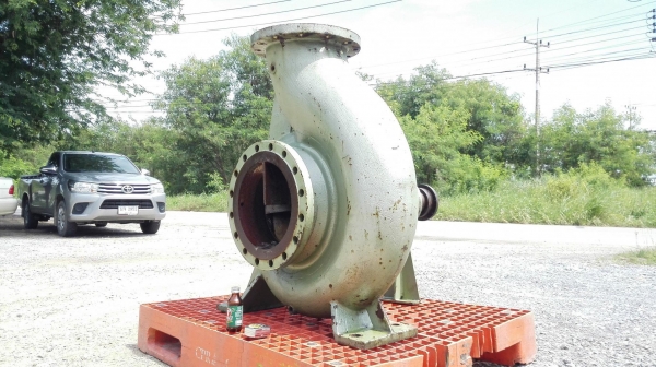 หัวปั้มน้ำหอยโข่งญี่ปุ่นลงตู้ Made in JAPAN ขนาดท่อ 12”- 10” ใบพัดทองเหลือง H : 33 m / Q : 10400 l/m ใช้กับมอเตอร์ 125 HP หัวปั้มน้ำหอยโข่งญี่ปุ่นลงตู้ Made in JAPAN ขนาดท่อ 12”- 10” ใบพัดทองเหลือง H : 33 m / Q : 10400 l/m ใช้กับมอเตอร์ 125 HP