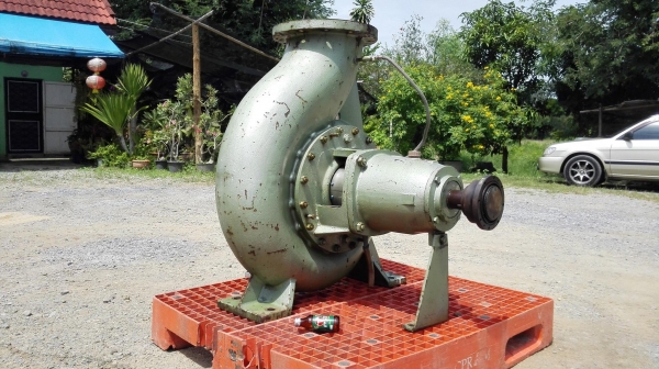 หัวปั้มน้ำหอยโข่งญี่ปุ่นลงตู้ Made in JAPAN ขนาดท่อ 12”- 10” ใบพัดทองเหลือง H : 33 m / Q : 10400 l/m ใช้กับมอเตอร์ 125 HP หัวปั้มน้ำหอยโข่งญี่ปุ่นลงตู้ Made in JAPAN ขนาดท่อ 12”- 10” ใบพัดทองเหลือง H : 33 m / Q : 10400 l/m ใช้กับมอเตอร์ 125 HP