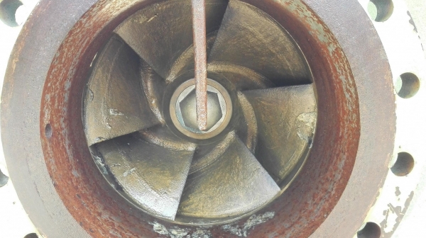 หัวปั้มน้ำหอยโข่งญี่ปุ่นลงตู้ Made in JAPAN ขนาดท่อ 12”- 10” ใบพัดทองเหลือง H : 33 m / Q : 10400 l/m ใช้กับมอเตอร์ 125 HP หัวปั้มน้ำหอยโข่งญี่ปุ่นลงตู้ Made in JAPAN ขนาดท่อ 12”- 10” ใบพัดทองเหลือง H : 33 m / Q : 10400 l/m ใช้กับมอเตอร์ 125 HP