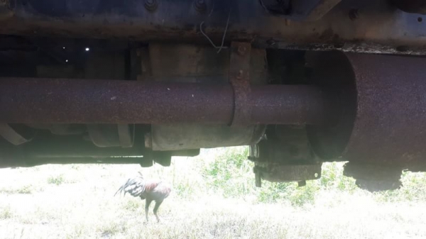 HINO FM3M2 HINO FM3M2