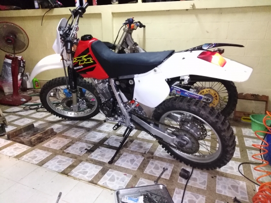 xr250 xr250