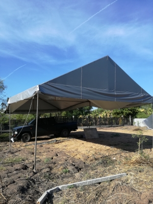 เต้น 5X10m อย่างหนา