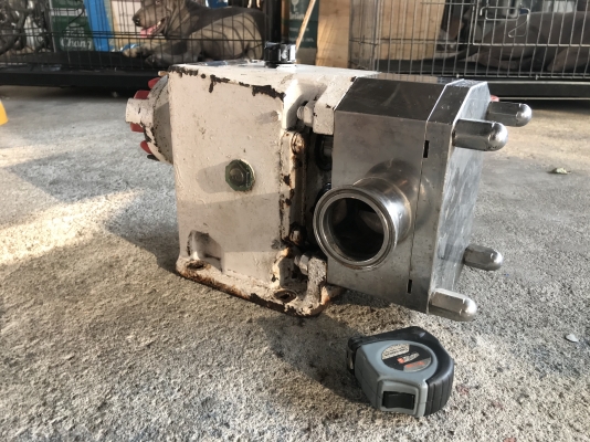 ขายหัวปั๊มดูดของเหนียวหัวสแตนเลส 316L Inoxpa pump ขนาดท่อ 2นิ้ว Made in Spain ใช้ในงานผลิตอาหาร สภาพสวย หมุนนิ่ม พร้อมใช้งาน