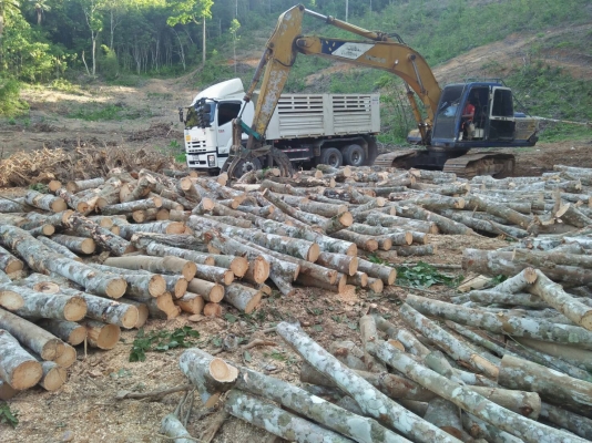 ขายKOBELCO SK200-/// เอกสารอินวอยให้เฉพาะบุ้งกี๋ราคา 350,000
