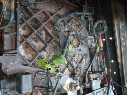 ขายด่วนรถ12ล้อ2เพลาดรั้มซีลี้700เครือง440แรงม้าE13Cปี55