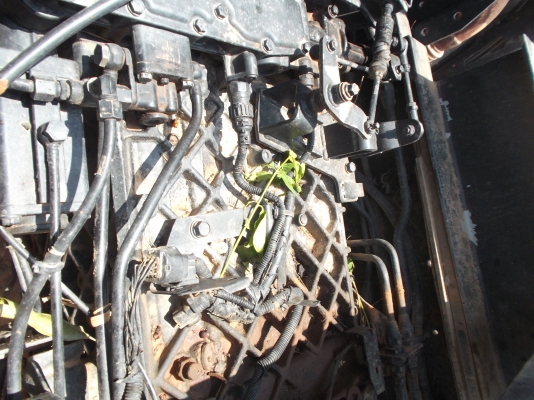 ขายด่วนรถ12ล้อ2เพลาดรั้มซีลี้700เครือง440แรงม้าE13Cปี55