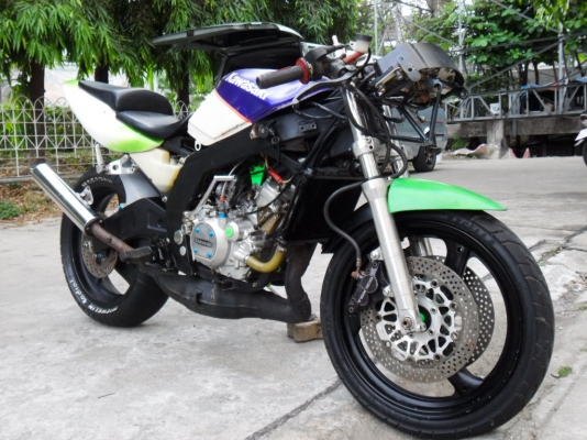 ขายเซอร์ปิโกล้อโต