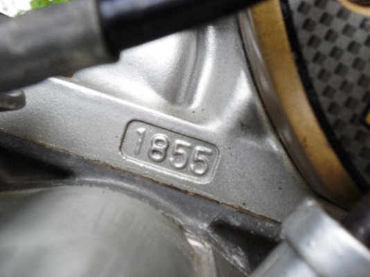 ขายเซอร์ปิโกล้อโต