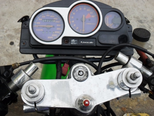 ขายเซอร์ปิโกล้อโต