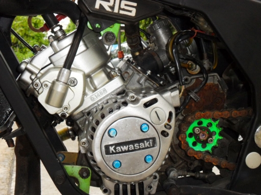 ขายเซอร์ปิโกล้อโต