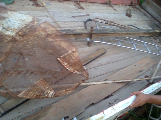 กะบะFCยาว5.30เมตร