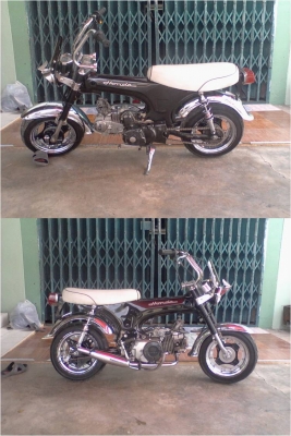 ขาย honda dax สภาพเทพ