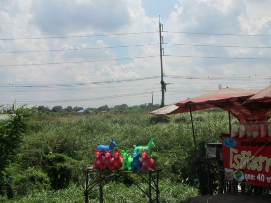 ขายที่ดินทำเลทอง