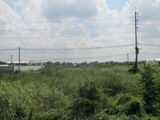 ขายที่ดินทำเลทอง