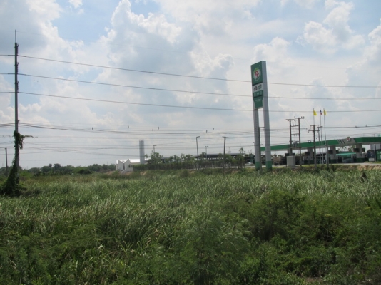 ขายที่ดินทำเลทอง