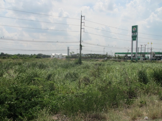 ขายที่ดินทำเลทอง