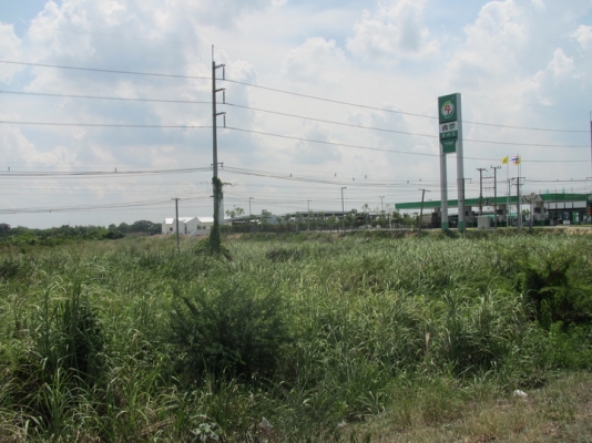 ขายที่ดินทำเลทอง