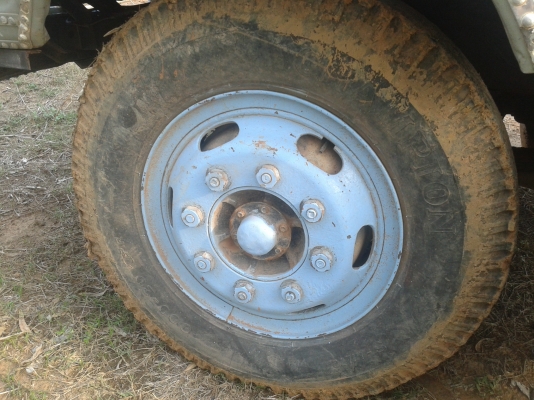 ขาย 6 ล้อดั้มหน้ยาว 125 แรง ISUZU รถบ้านแท้ เฟืองท้าย FUSO ยาง 900. เครื่องแรง แน่น คัซซีสวยจัดๆ เยี่ยมมาก รถใช้งานประจำ พร้อมโอน พร้อมใช้สุดๆ.. ขาย 6 ล้อดั้มหน้ยาว 125 แรง ISUZU รถบ้านแท้ เฟืองท้าย FUSO ยาง 900. เครื่องแรง แน่น คัซซีสวยจัดๆ เยี่ยมมาก รถใช้งานประจำ พร้อมโอน พร้อมใช้สุดๆ..