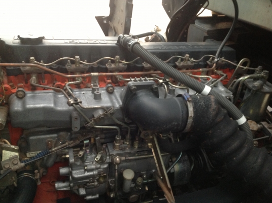 ขายด่วนนางฟ้า195สวยๆ