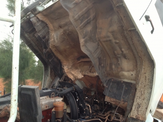 ขายด่วนนางฟ้า195สวยๆ