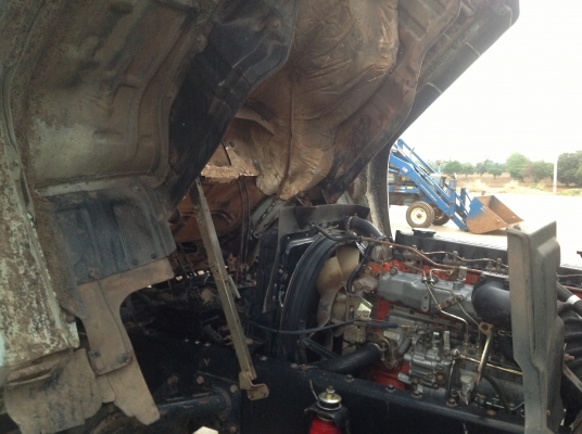 ขายด่วนนางฟ้า195สวยๆ