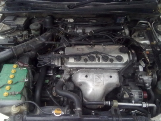 ขาย accord ปี96