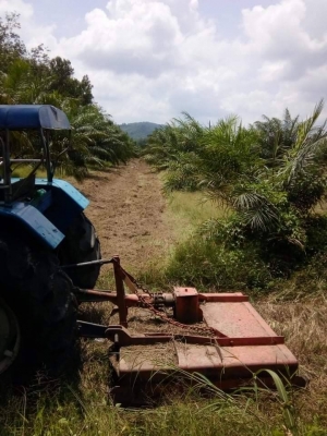 มีVDOขายรถไถ NEWHOLLAND 6610 ใบมีด ตัดหญ้า 7จานเอกสารพร้อมโอนราคา 280,000
