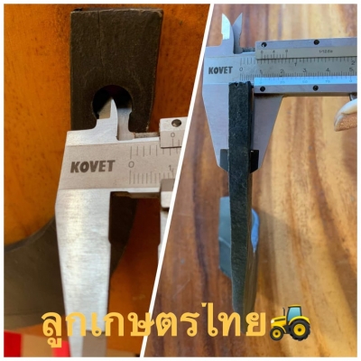 ใบเคียง รูเดียว ( โรตารี่เก่านอก  )