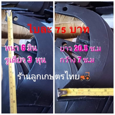 ใบเคียง รูเดียว ( โรตารี่เก่านอก  )