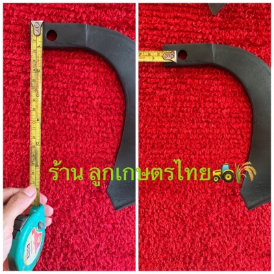 ใบเคียง รูเดียว ( โรตารี่เก่านอก  )