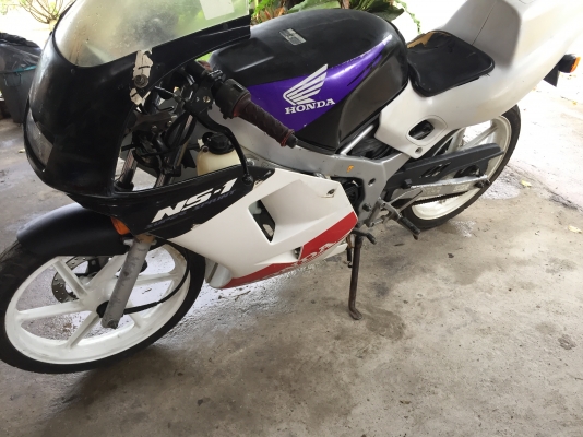 NS1 50 CC NS1 50 CC