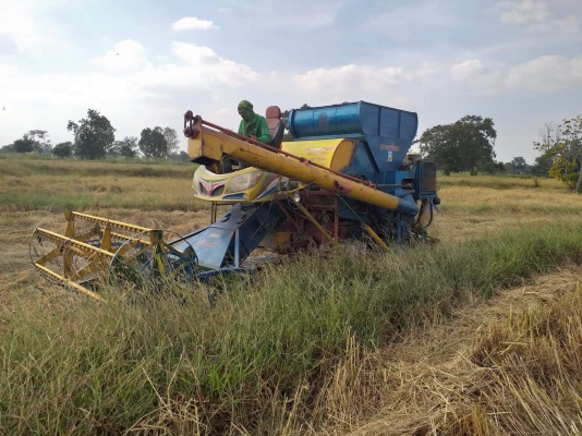 ขายรถเกี่ยวข้าวขนาดกลางรุ่นเงินมีอุ้ม1.4ตันเกิน10ปั้ม22เครื่อง185โบรถใข้งานปกติคับ0854997911ดูรถที่ค้อวัง ยโสธร