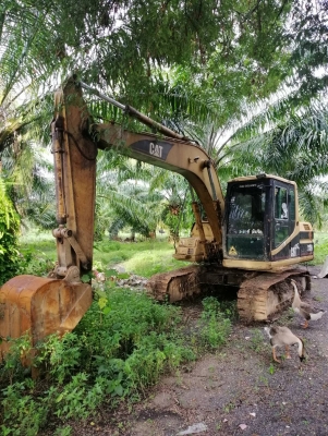 CAT 311 B ราคา 550000